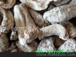 大量供应-- 干天麻 宜昌天麻 中药材天麻批发 中药饮片 商品麻