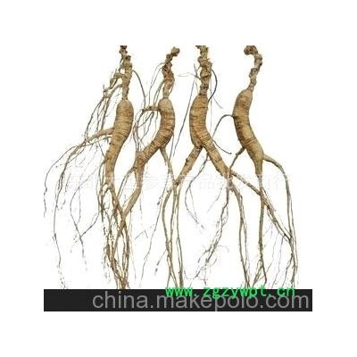 东北特产，各类人参。价格合理。质量上乘。