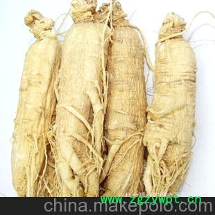 人参批发，白参，生晒参，吉林人参