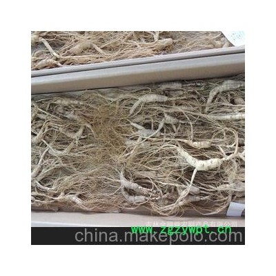 林下参，移山参，东北人参，吉林林下参