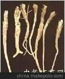 药材 药材供求柴胡-中华怀药网