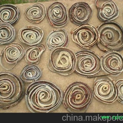 乌梢蛇 中药材乌梢蛇 乌梢蛇干