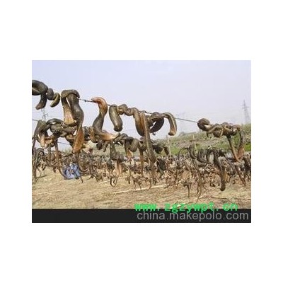 自产自销 收购销售结合