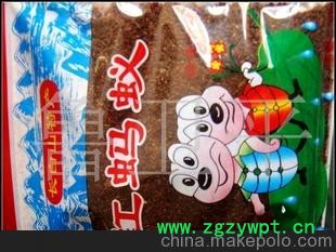 红蚂蚁