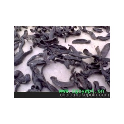 长期大量出售各种规格宽体金线蛭