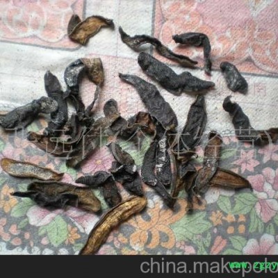 批量供应优质水蛭