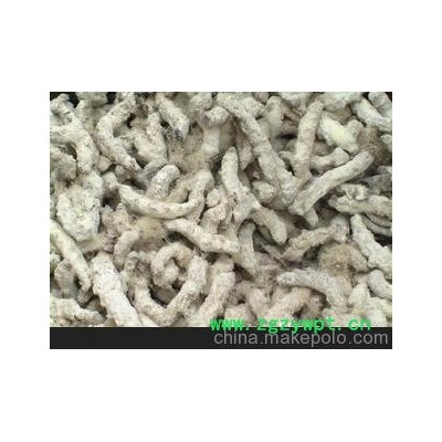 广西原产地 供应僵蚕，死蚕