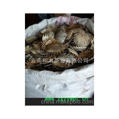 长期批发优质的鳖甲，中药材炙鳖甲/炒鳖甲，滋阴补肾失眠健忘