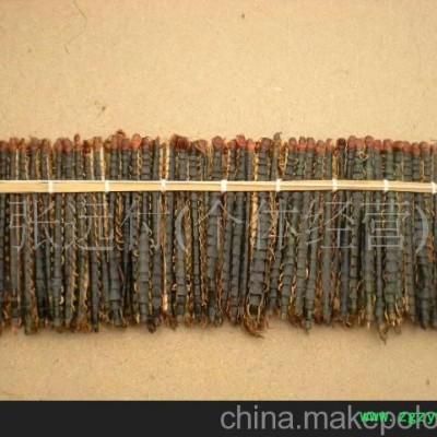 批量供应优质千足虫