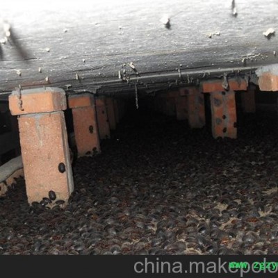 建德富阳临安桐庐淳安宁波余姚土元养殖