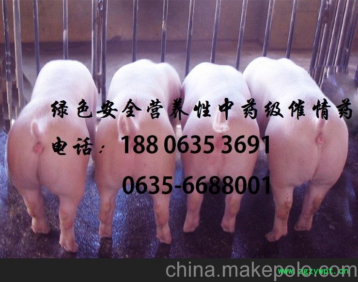 供应一统 猪用促发情配种灵 代理商 大促销