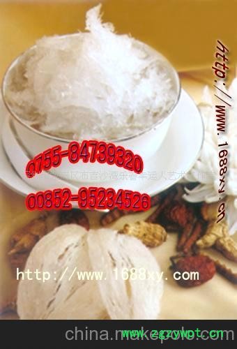 印尼燕窝，原始燕窝