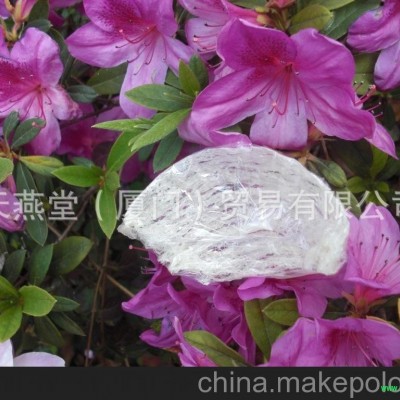 广西燕窝批发 燕窝批发 燕窝技术培训