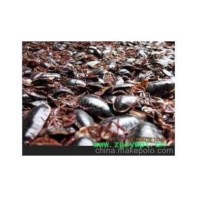 本养殖场是广西目前较大的养殖基地之一