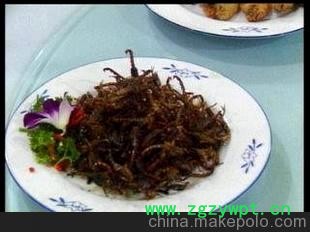 蒙山活蝎--人工上山掀的（纯假一赔万）