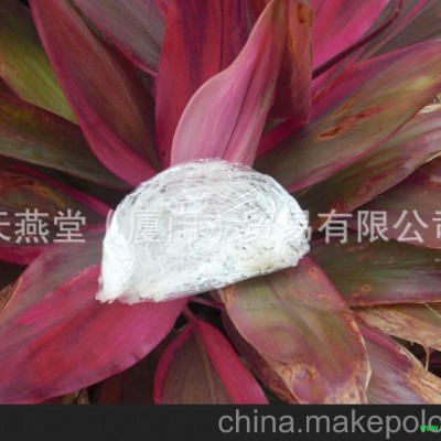 广东燕窝批发 马来西亚燕窝 纯燕窝批发