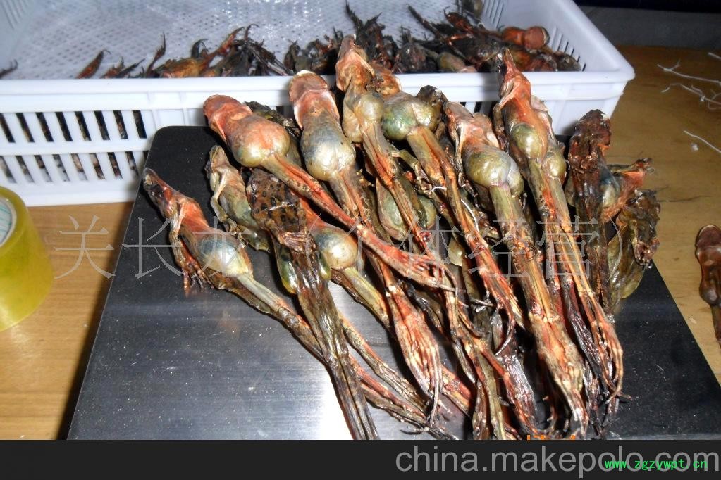 全只林蛙干 全只林蛙干