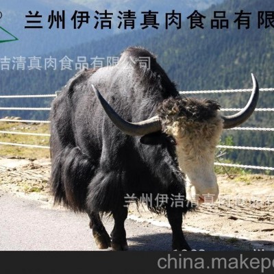 厂家大量供应新鲜优质天然牦牛角