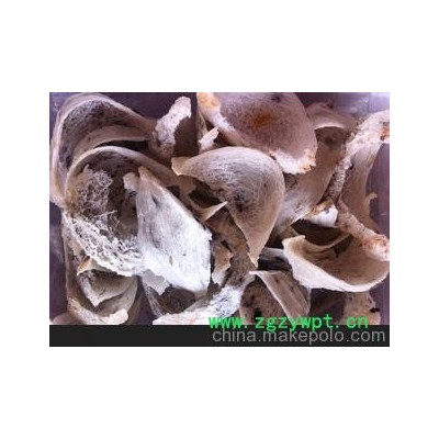 马来西亚毛燕批发 燕窝批发