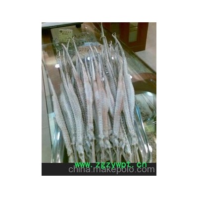 经销批发 名贵养生保健品 优质特大海龙