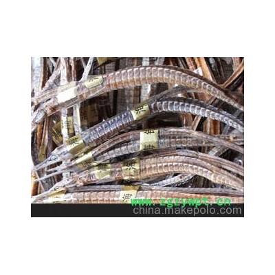 海龙/稀珍海洋生物/名贵中药材/海宝泡酒料组方之一