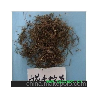 批发零售中药材 白花蛇舌草具有苦寒清热解毒，甘寒清利湿热。