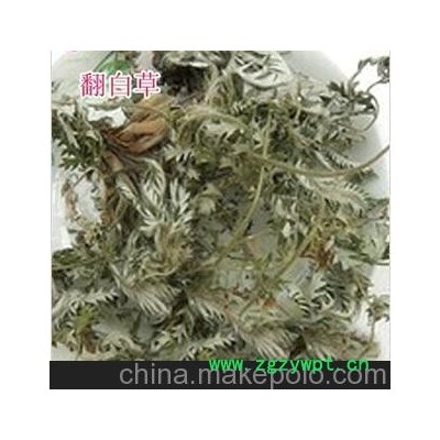 批发供应中药材 翻白草具有清热，解毒，止血，消肿。