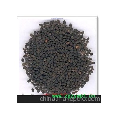 批发供应中药材 补骨脂 具有暖脾止泻，纳气平喘。