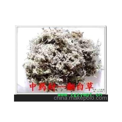 批发 供应 中药材翻白草具有清热消炎，凉血止血。治赤白痢疾。