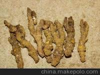 中草药 黄连