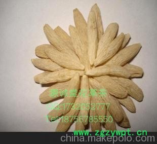 特级优质中药材一级麦冬 特级优质中药材一级麦冬