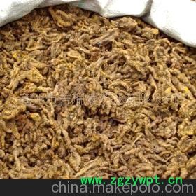 黄连 大货库存 质优价廉 发货快速