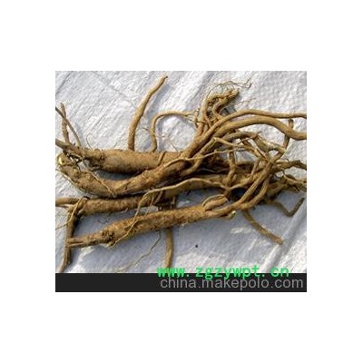 黄芩 山东莒县黄芩 含量高 收率高