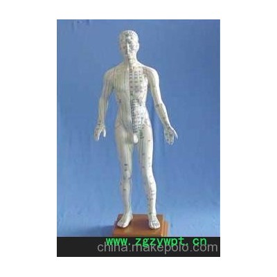 针灸模型60CM 人体针灸模型