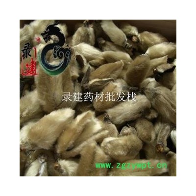 【录建药业】辛夷花 辛夷花 产地 河南省