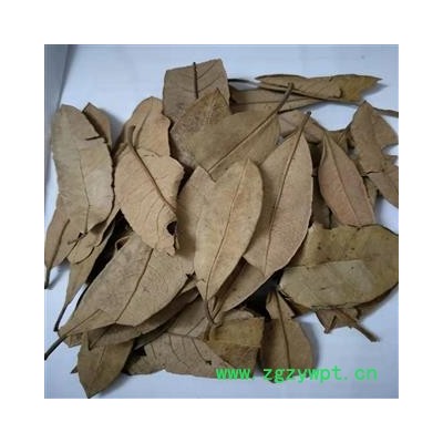 冰源堂药业 杜鹃花 杜鹃叶 统货 产地 云南省