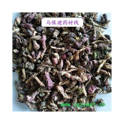 款冬花 款冬花净货 产地 甘肃省