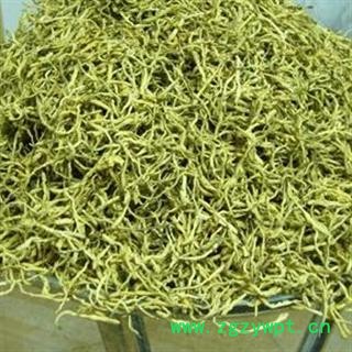 【录建药业】金银花 金银花带黄条 产地 山东省