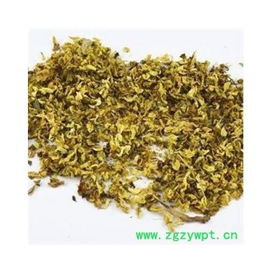 槐花 统  无开花 产地 山东省