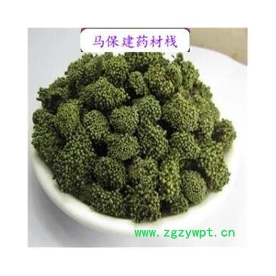 三七花 青花 产地 云南省