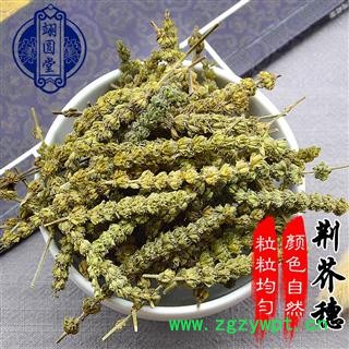 荆芥穗 选货 产地 河北省