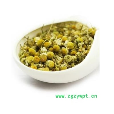 洋甘菊 1000克  小颗粒