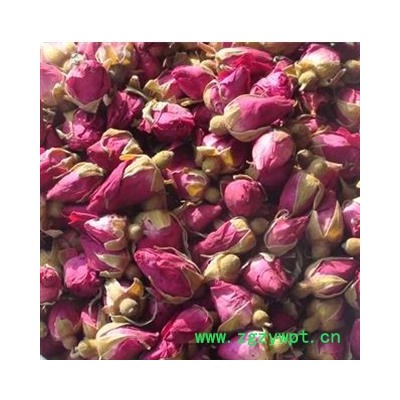 玫瑰花 统 产地 山东省济南市平阴县