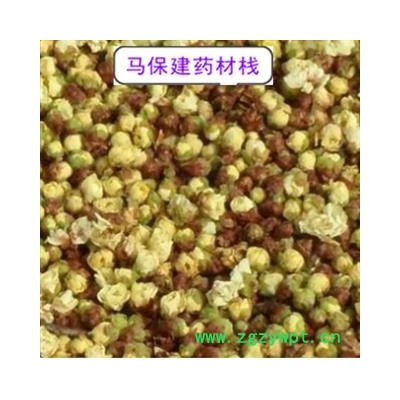 绿萼梅 绿萼梅花选货 产地 浙江省