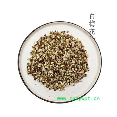 绿萼梅 统 产地 西藏自治区