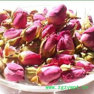 法国千叶玫瑰  进口玫瑰 玫瑰花 1000克