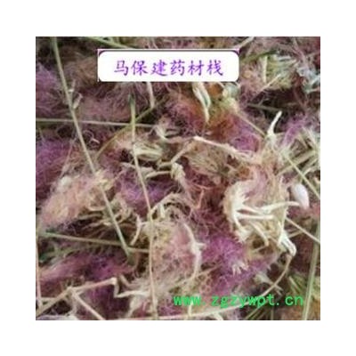 合欢花 合欢花净绒 产地 山东省