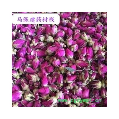 玫瑰花 甘肃苦水玫瑰王 产地 甘肃省