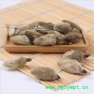 辛夷花 辛夷大桃统货 产地 河南省   批发零售 花茶 中药材 代加工超细粉   别称-林兰 桂兰 杜兰 木莲 木笔 黄心 紫玉兰 女郎花