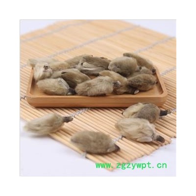 辛夷花 辛夷大桃统货 产地 河南省   批发零售 花茶 中药材 代加工超细粉   别称-林兰 桂兰 杜兰 木莲 木笔 黄心 紫玉兰 女郎花